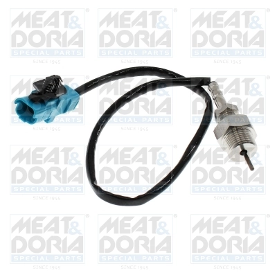 Sensor, exhaust gas temperature